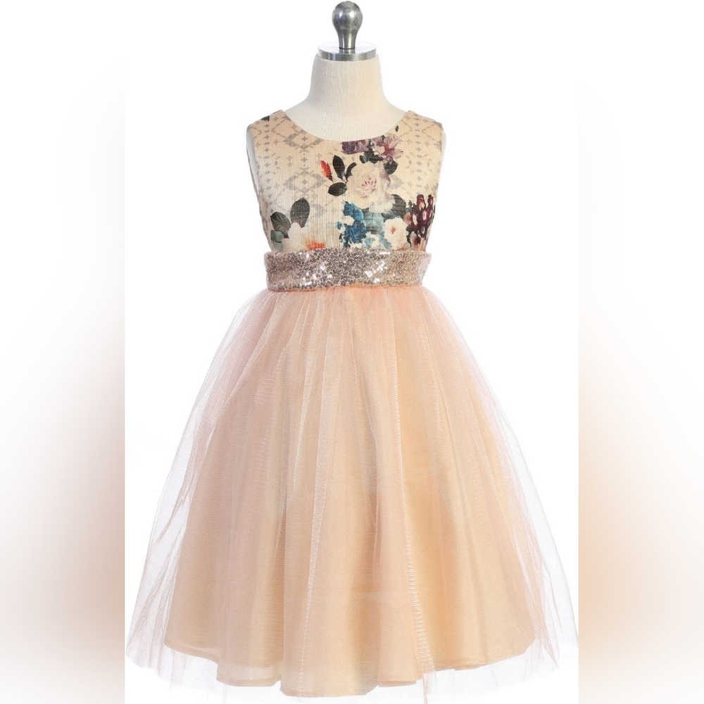 💫HP💫Vintage Floral Rose Gold Sequin Back V Girl Dress